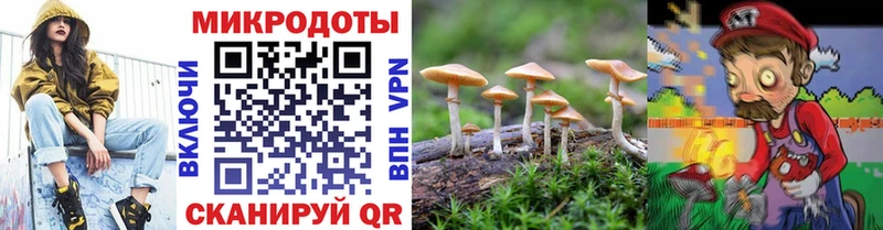 Галлюциногенные грибы GOLDEN TEACHER Высоковск